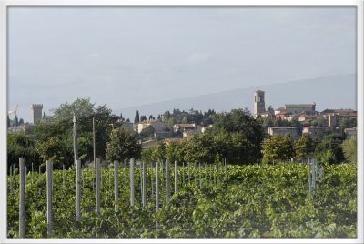 Agriturismo I Mori Gelsi - Umbria