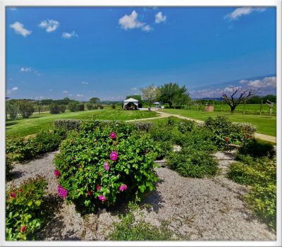 Agriturismo I Mori Gelsi - Umbria