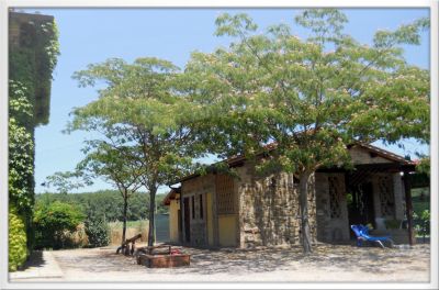 Agriturismo I Mori Gelsi - Umbria