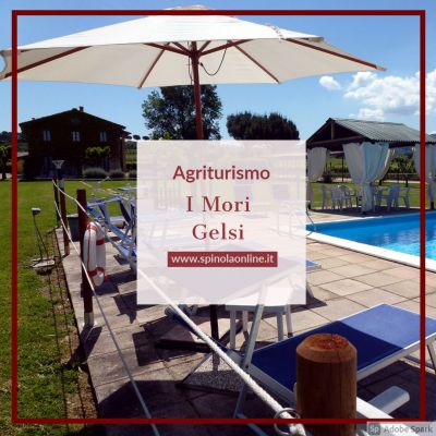 Agriturismo I Mori Gelsi - Umbria